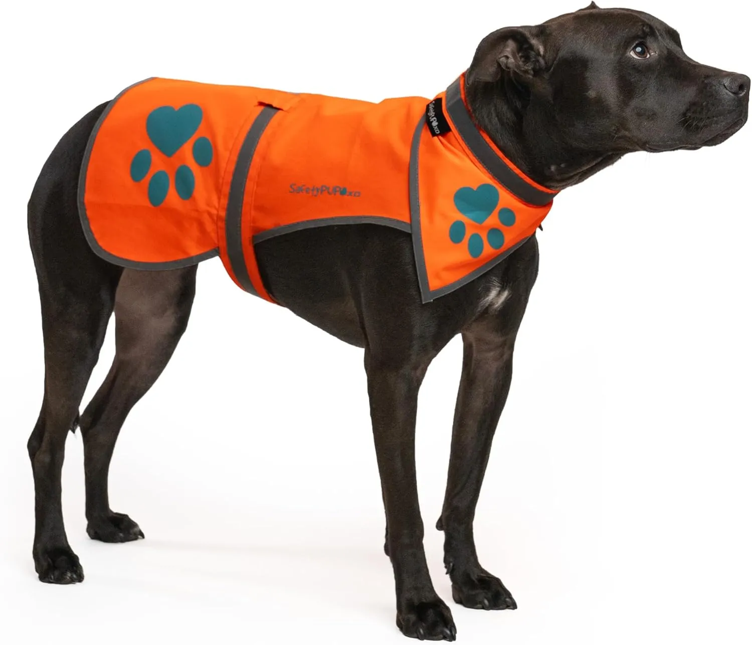 Blaze Orange, Reflective Dog Vest & Bandana (X-Large). Safety Gear to Help Prevent Hunting & Motorist Accidents