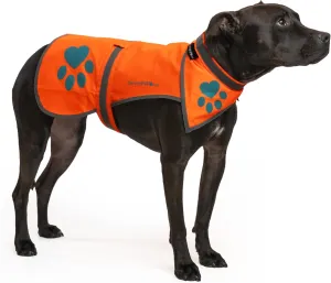 Blaze Orange, Reflective Dog Vest & Bandana (X-Large). Safety Gear to Help Prevent Hunting & Motorist Accidents