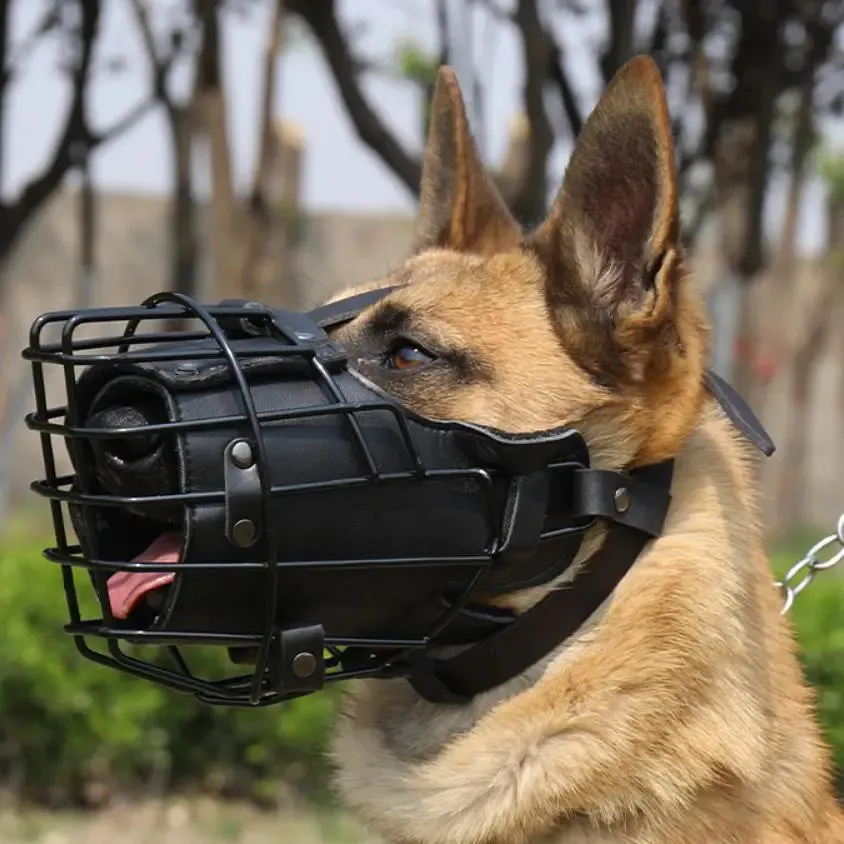 Tactical Impact Dog Training Muzzle