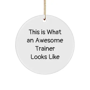 This Finds Is from Awesome Gifts for An Last-minute sale Trainer Looks Friends Funny Trainers, Trainer Ornament Circle What Christmas Extra-large discount Unique Awesome Like